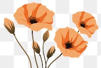 PNG California poppy flower petal plant. 