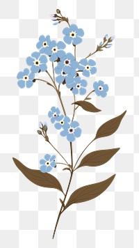 PNG Forget me not flower blossom plant forget-me-not. AI generated Image by rawpixel.