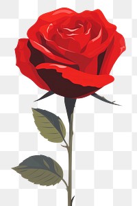 PNG Rose flower plant red. AI generated Image by rawpixel.