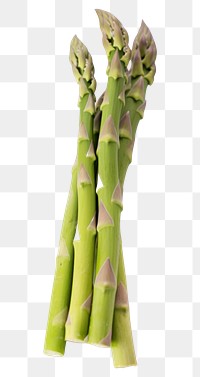 PNG Asparagus vegetable plant food. 