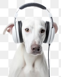 PNG Dog wear headphone headphones headset mammal. 