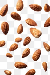 PNG Almond backgrounds food seed