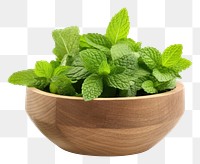 PNG Plant vegetable spearmint flowerpot. 