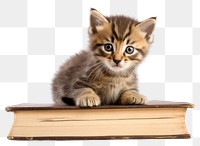 PNG Kitten mammal animal book. AI generated Image by rawpixel.