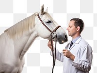 PNG Horse veterinarian mammal animal. 