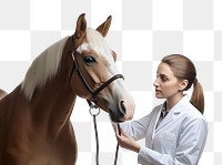 PNG Veterinarian horse mammal animal. 