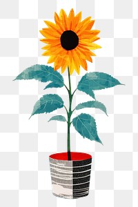 PNG Sunflower plant vase art. 