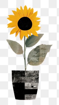 PNG Sunflower vase art plant. 