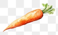 PNG Carrot vegetable food  