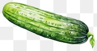 PNG Cucmber vegetable cucumber plant. AI generated Image by rawpixel.