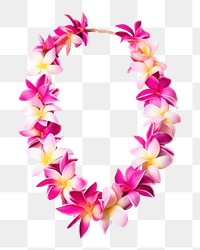PNG  Flower Garland petal plant white background. AI generated Image by rawpixel.