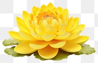 PNG Water lily flower yellow petal. 