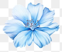 PNG Soft Blue Flower flower hibiscus blossom. AI generated Image by rawpixel.