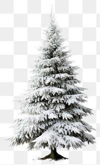 PNG Tree christmas plant white