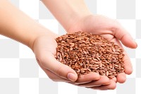 PNG  Flax seeds food hand white background. AI generated Image by rawpixel.