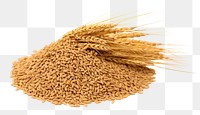 PNG Wheat food seed  