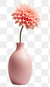 PNG Ceramic vase flower dahlia plant. 