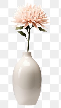 PNG Ceramic vase flower plant white. 