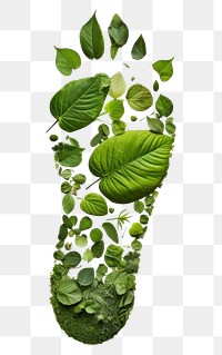 PNG A green foot print leaf plant freshness. 
