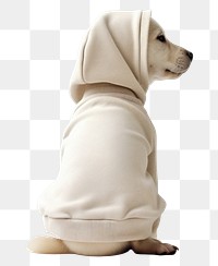 PNG Sweatshirt animal mammal puppy. AI generated Image by rawpixel.