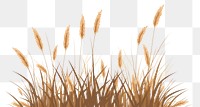 PNG A dry Grass grass plant wheat. AI generated Image by rawpixel.