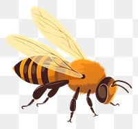 PNG Bee bee wildlife animal. AI generated Image by rawpixel.