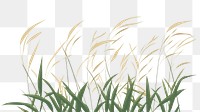 PNG A Grass grass backgrounds plant. 