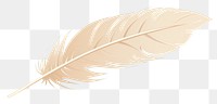 PNG Feather leaf lightweight accessories. 