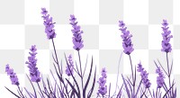 PNG Lavender backgrounds blossom flower. AI generated Image by rawpixel.