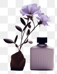 PNG Perfume spray flower bottle plant. 