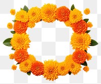 PNG Marigold Flower rangoli Design Indian Festival flower decoration marigold. 