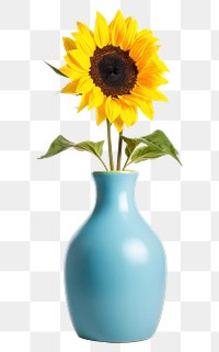 PNG Blue ceramic vase sunflower plant  