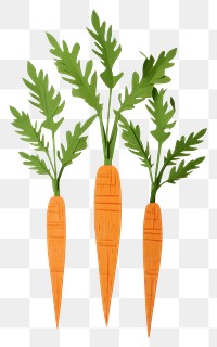 PNG Carrots vegetable plant food. 