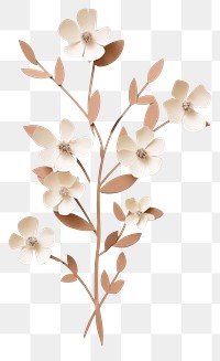 PNG Blossom flower plant white. 