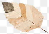 PNG Leaf paper creativity pattern. 