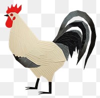 PNG Rooster chicken poultry animal. 