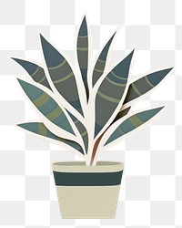 PNG Potted snakeplant leaf white background creativity. AI generated Image by rawpixel.