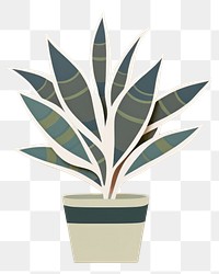 PNG Potted snakeplant leaf white background creativity. 