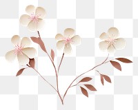 PNG Blossom pattern flower plant. 