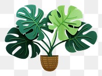 PNG Monstera potted plant leaf white background houseplant. 