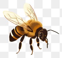 PNG Bee animal insect hornet. AI generated Image by rawpixel.