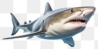 PNG Shark animal fish  