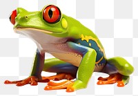 PNG Red-eyed tree frog amphibian wildlife reptile. 