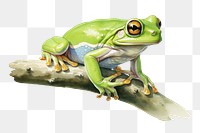 PNG Tree frog hyla arborea amphibian wildlife reptile. AI generated Image by rawpixel.