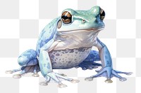PNG White tree frog amphibian wildlife animal. AI generated Image by rawpixel.