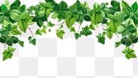 PNG Green leaves backgrounds plant leaf. 