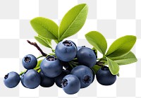 PNG  Berry blueberry bilberry fruit. AI generated Image by rawpixel.