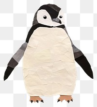 PNG Penguin penguin animal bird. 