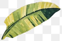 PNG Banana leaf plant art creativity. AI generated Image by rawpixel.