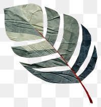 PNG Leaf plant art weaponry. 